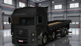 VW Constellation 24.250 - ETS2